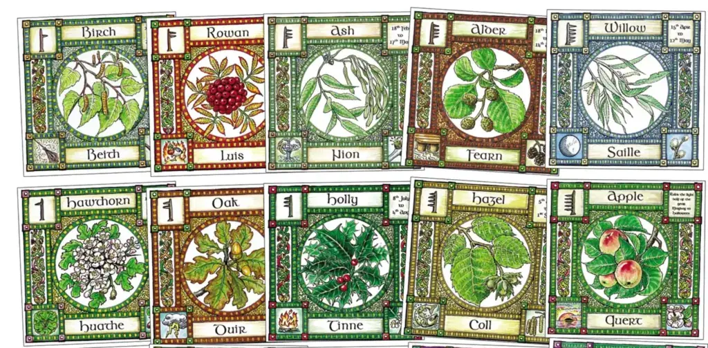 Ogham tree oracle cards from Hedingham Fair, showing letter-to-tree associations