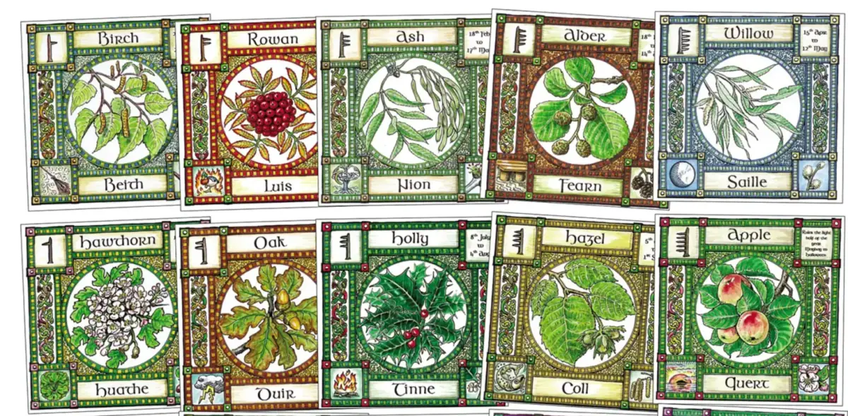 Ogham tree cards showing letter associations with trees