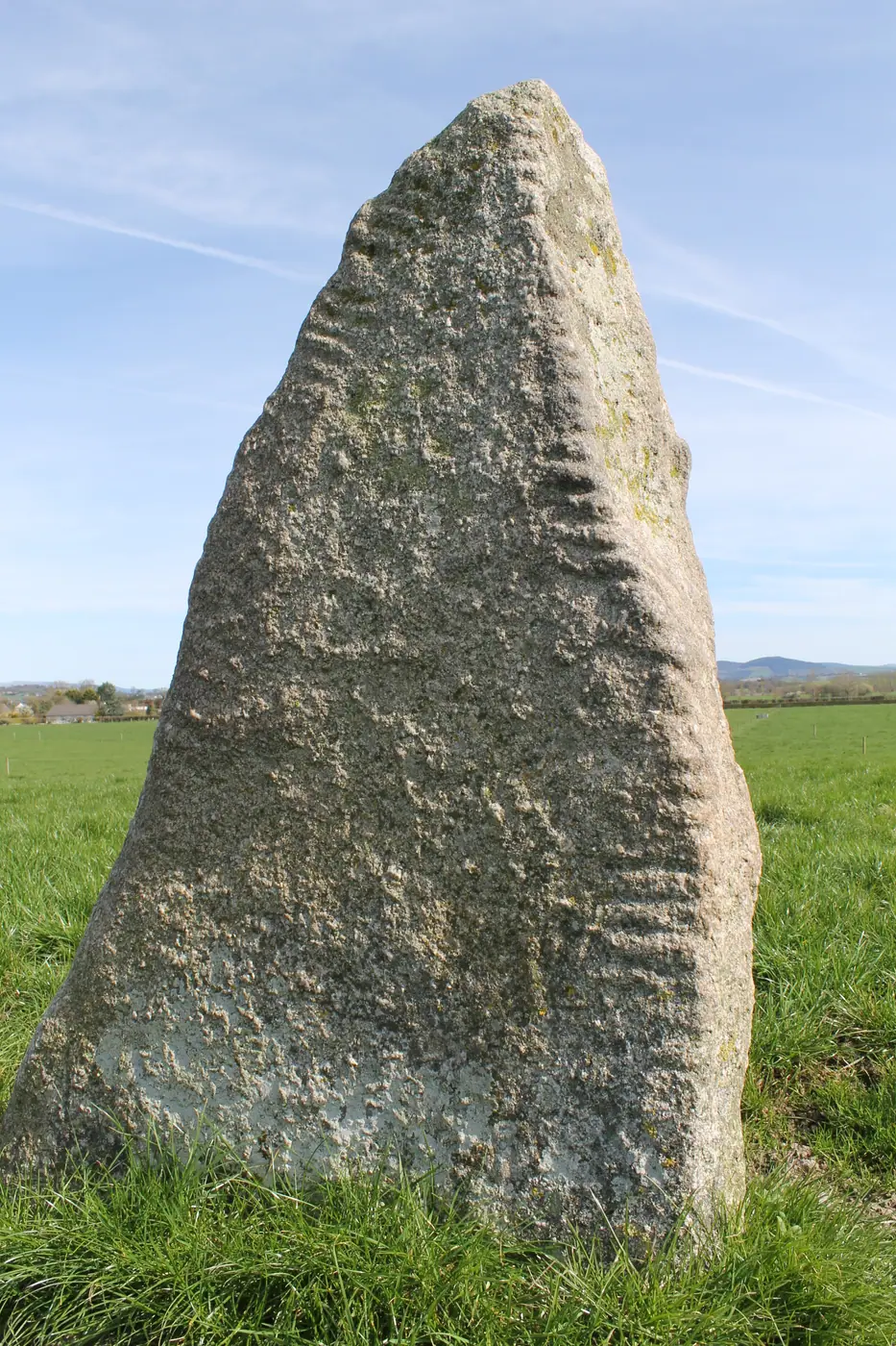 Rathglass Ogham stone, Co. Carlow