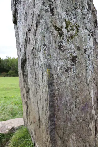 An Com Liath Thoir | Coomleagh East (I-COR-001) ogham stone