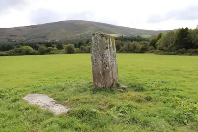 An Com Liath Thoir | Coomleagh East (I-COR-001) — image 2