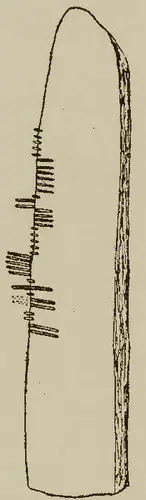 Ráth Ghobáin | Rathcobane (I-COR-013) — image 2