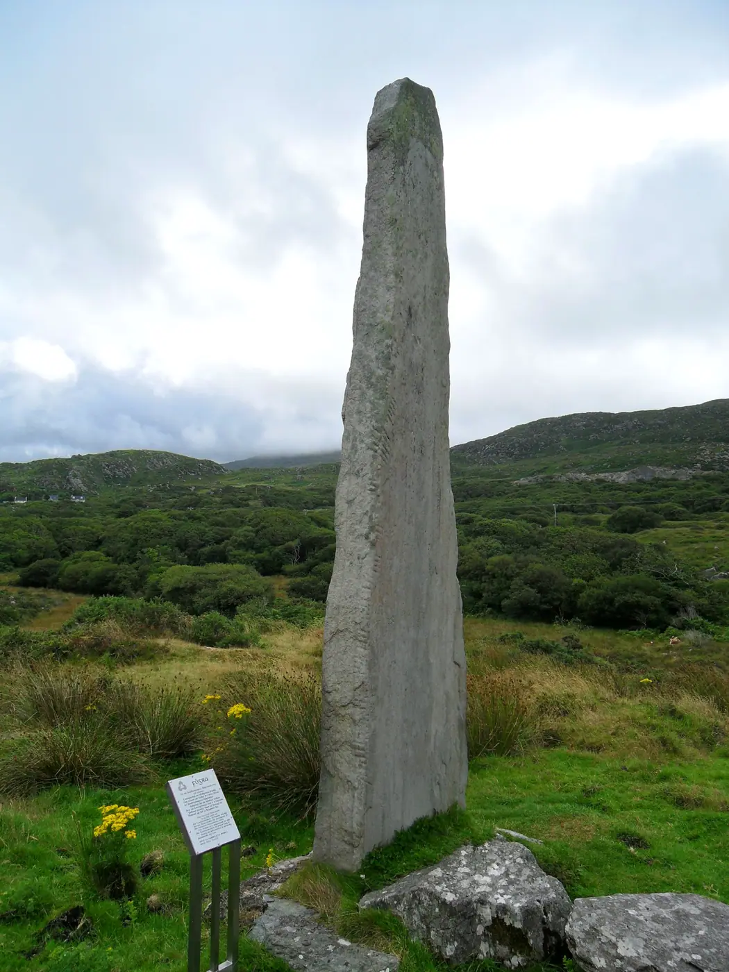 Fánchoill agus Na Coillte | Faunkill and the Woods (I-COR-014)