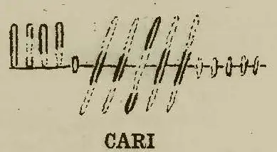 Gamhair | Gour (I-COR-015) — image 3