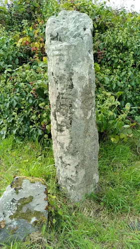 Chill Cháscann | Kilcaskan (I-COR-016) ogham stone