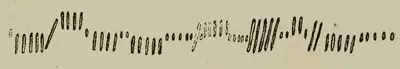 Caoinráth | Keenrath (I-COR-024) — image 2