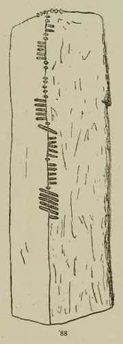 Baile an Chamhaicigh Thuaidh | Ballyknock North 7 (I-COR-037) — image 2