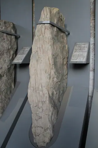 Baile an Chamhaicigh Thuaidh | Ballyknock North 9 (I-COR-039) ogham stone