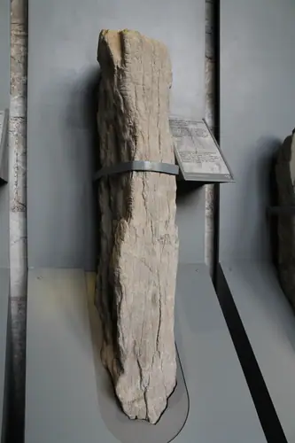 Baile an Chamhaicigh Thuaidh | Ballyknock North 13 (I-COR-043) ogham stone