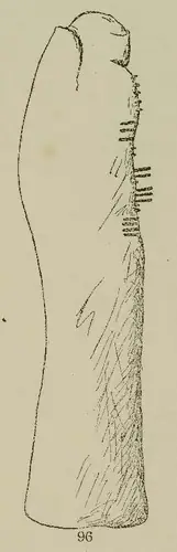 Baile an Chamhaicigh Thuaidh | Ballyknock North 15 (I-COR-045) — image 2