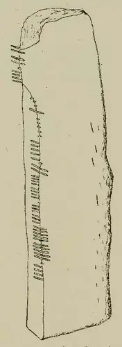 Barr an Chárthainn | Barrahaurin (I-COR-052) — image 2