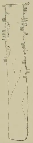 Carraig an Ghiolla | Carrigagulla (I-COR-080) — image 2