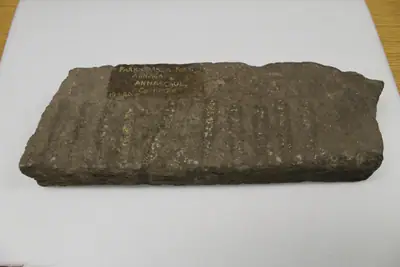 Áth na gCeap | Annagap (I-KER-010) ogham stone