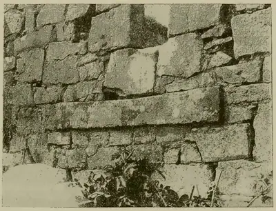 Clárach an Teampaill | Churchclara 1 (I-KIK-002) — image 2