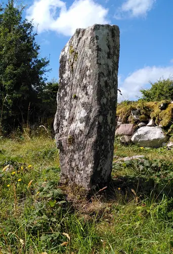 An Roisín Thiar | Rusheens West (I-MAY-003) ogham stone