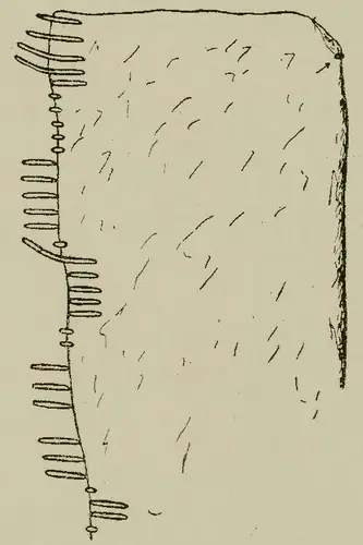 An Roisín Thiar | Rusheens West (I-MAY-003) — image 2