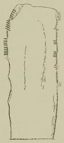 Corr Odhar | Corrower (I-MAY-005) — image 2