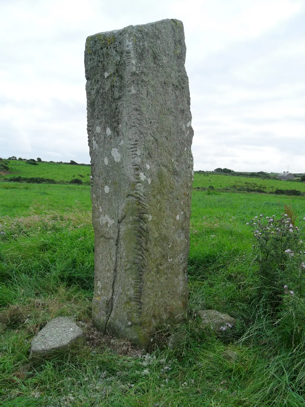 Breastagh Ogham stone, a national monument in Co. Mayo