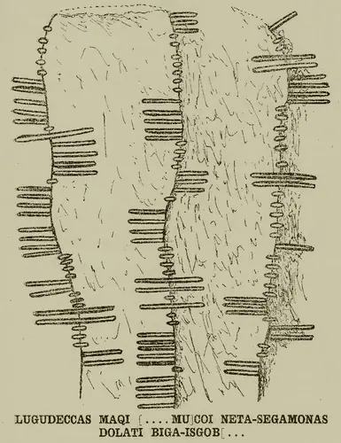 Aird Mhór | Ardmore 1 (I-WAT-002) — image 2