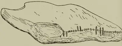 An Baile Beag | Fox’s Castle (I-WAT-021) ogham stone