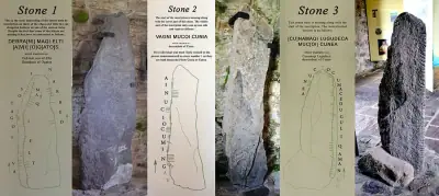 Kilgrovan Ogham stones 1, 2 and 3 displayed at Mount Mellary Abbey Heritage Centre, Co. Waterford