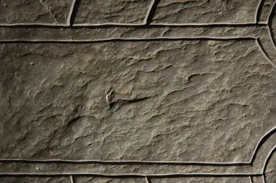Ballavarkish (M-IOM-008) — image 3