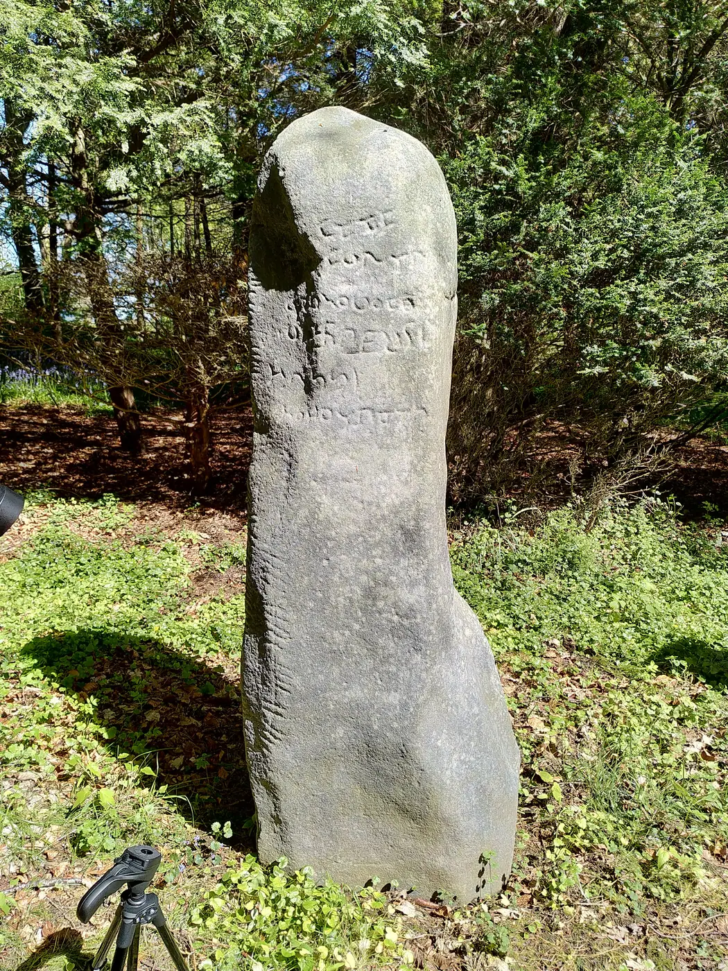 Newton (S-ABD-001)
