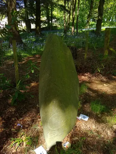 Logie Elphinstone (S-ABD-002) ogham stone