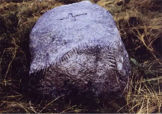 Afforsk (S-ABD-005)