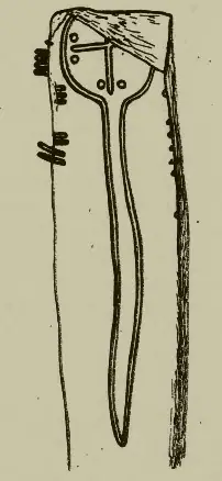 Ystradfellte (W-BRE-003) — image 2