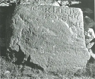 Dolbenmaen 2 (W-CAE-001) — image 2