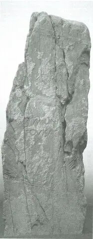 Clocaenog (W-DEN-001) ogham stone