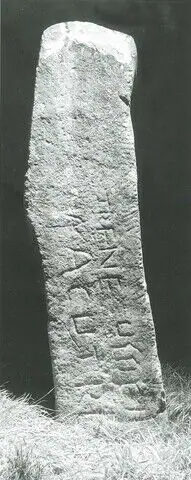 Cilgerran (W-PEM-004) ogham stone