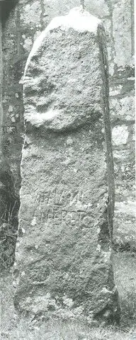 Nevern 2 (W-PEM-008) ogham stone