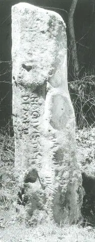 St Dogwells (W-PEM-009)