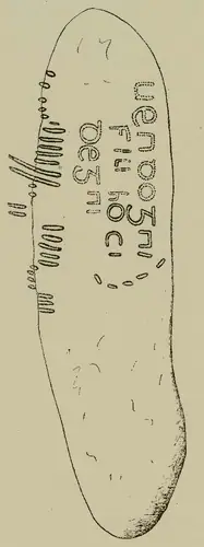 Brawdy 3 (W-PEM-012) — image 3